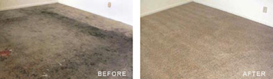 Durham Carpet Cleaning Bedroom Before After